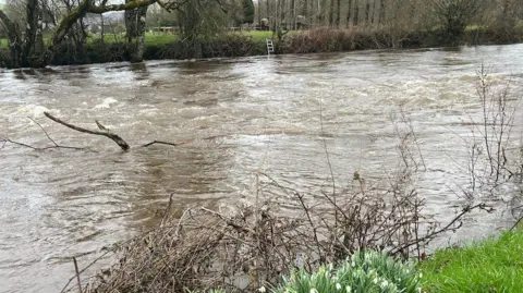 A brown, fast-flowing river. There are flowers on a grass-covered river bank in the foreground. There are trees and a field on the other side of the river.