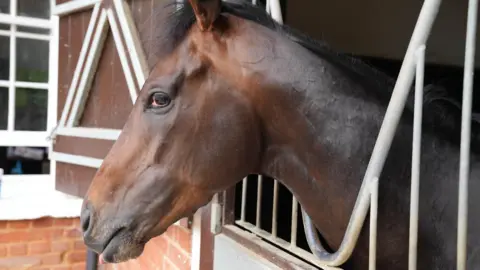 JOHN FAIRHALL/BBC Ambiente Friendly at Pegasus Stables