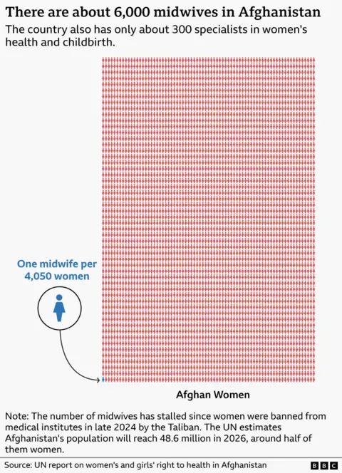 A graphic showing the proportion of Afghan midwives compared the number of women in the country. There is one midwife per 4,050 women
