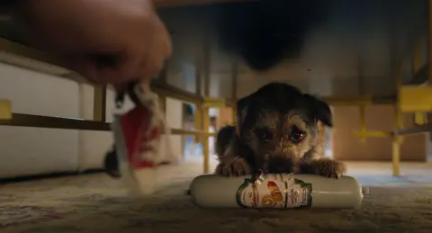 Netflix Artie is crouched under a table with a large wrapped sausage under his paws and chin, with the label partly torn. An out-of-focus hand dangles a red shoe in the foreground. 