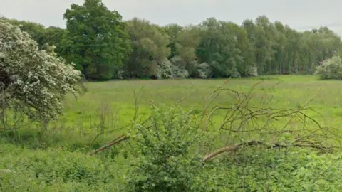 A field surrounded by trees and shrubs