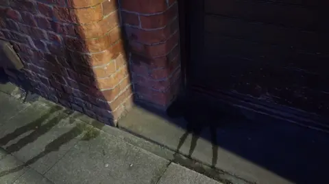 Daniel Tischer Liquid streaked across concrete in a doorway.