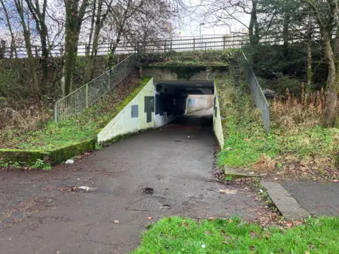 A graffitied underpass with grass and trees on either side