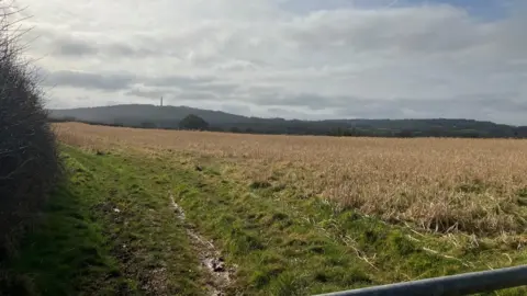 A gently sloping field with a gate and hedge and the blackdown hills in the distance with wellington monument on top