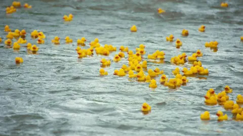 Getty Images yellow rubber ducks floating in water