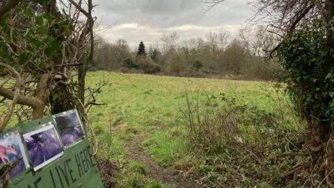 A green meadow in the distance.