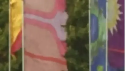 Multi-coloured flags on a field 