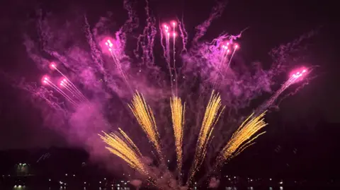 Purple and gold fireworks in the sky.