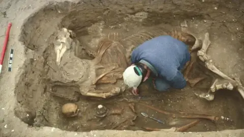 The grave of the Lakenheath Warrior and his horse