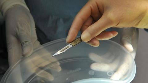 A hand holding a scalpel 