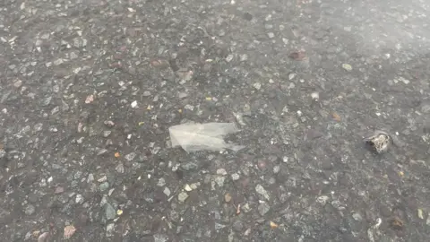 Barry Warrener White toilet roll floats on water on a road