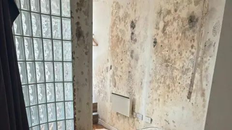 Contributed A white wall where thick mould has grown over the walls.