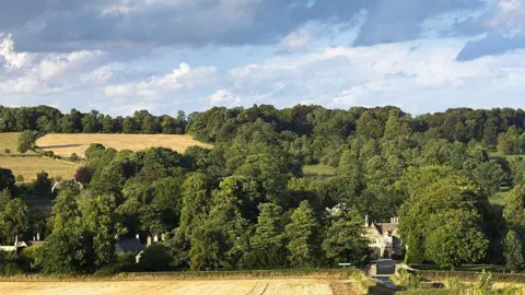 Getty Images A large manor house is seen poking out of woodland at the base of a hill on a sunny evening in the Cotswolds