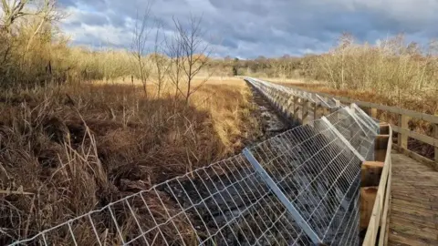 Shropshire Wildlife Trust A wooden boardwalk with metal fencing on top of it, which leans over a wetland areas with brown trees, shrubs and grass. It stretches into the distance