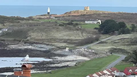 A seagull sits on a chimney pot in this general view of Alderney, with rooftops seen in the foreground and a vast landscape of seashore and greenery with the wider sea and a lighthouse seen in the background. 