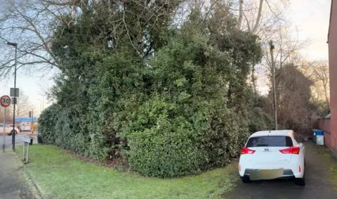 Local Democracy Reporting Service Heavily wooded and overgrown area, within which is Lauren's memorial, which cannot be seen.