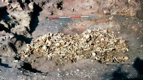 Martin Biddle Skeletal body parts in a muddy hole