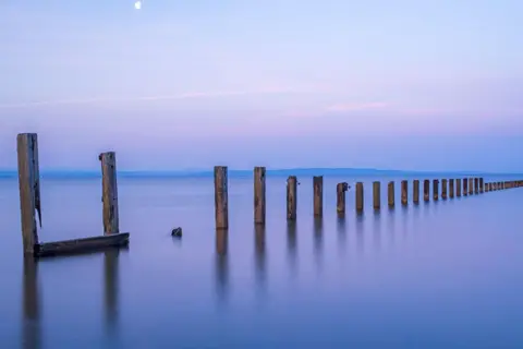 HUGH MAXWELL A straight line of wooden, pole-like sea defences stick out of a calm sea at dawn with the sky a purple and blue colour. 
