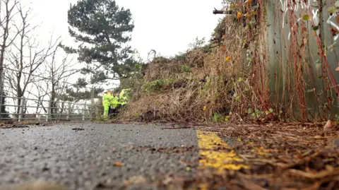 The image shows a blocked road, with a large pile of foliage in the way and some workers in high-visibility jackets.
