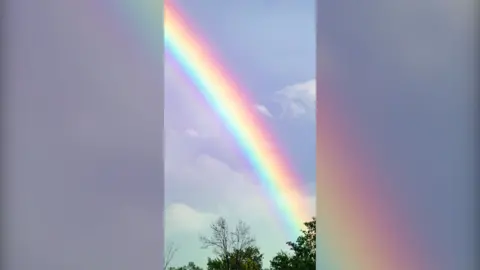 Part of a rainbow is seen brightly in the sky, disappearing behind some trees.