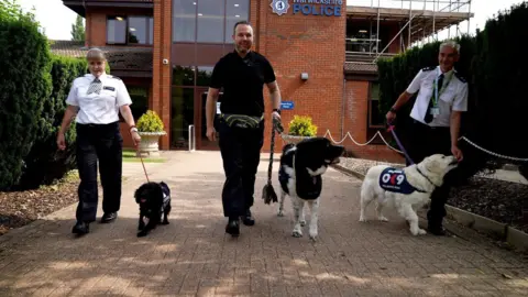 A woman and two men are walking down a path towards the camera. Behind them is the warwickshire police building. The woman, on the left, is in a white police shirt and is walking a black springer spaniel on a lead. The man in the middle is in all black with a bum bag around his waist. He is walking a black and white Newfoundland. On the right, the other man is wearing a white shirt with black tie and is walking a white golden retriever 