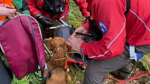 Scarborough and Ryedale Mountain Rescue Team Dog with mountain rescue volunteers