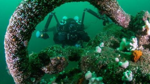 Diver on a shipwreck