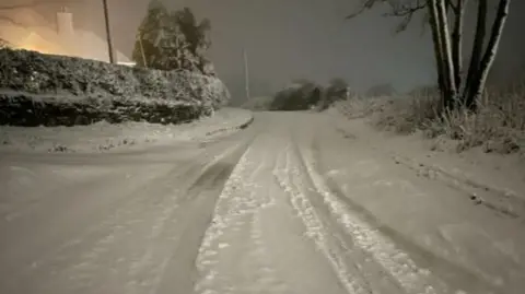 A road and pavements covered in snow, under a leaden sky 