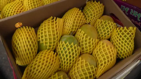 A close-up of Alphonso mangoes packed in a cardboard box, each fruit protected by a yellow foam sleeve.