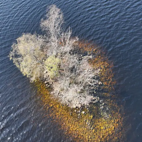 Andy Hickie An aerial view of the small, artificial island. There are trees on it and the mound of rocks used to create the island are visible below the surface of the loch's waters.