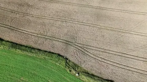 An aerial photo showing tracks through a field of wheat