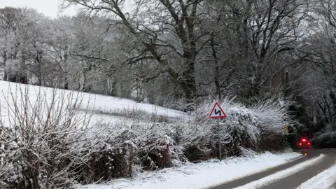 Kibbo, BBC Weather Watcher A car is seen with brake lights illuminated as it travels past a snow-covered hedge. There is a road sign that indicates bends in the road, and there are tyre tracks on the road.