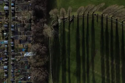 Adam Vaughan/EPA-EFE A picture taken with a drone shows shadows being cast in the evening sun by a line of poplar trees