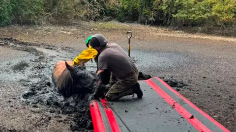 Bedfordshire Fire and Rescue Service The horse is heavily coated in mud across much of its body and has an orange blanket on its back. Two people wearing helmets and protective clothing stand near the rescue equipment in the foreground.