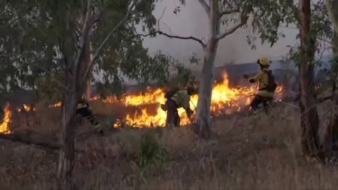Firefighters battle a fire in Spain's Toledo region.
