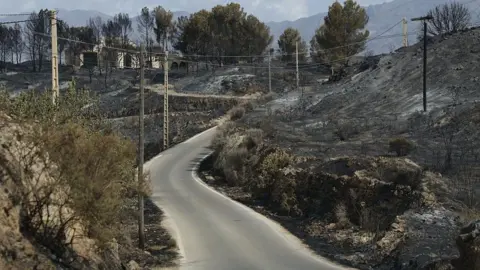 Getty Images Firefighters, supported by helicopters and other emergency teams, carry out containment, surveillance and recovery operations across the burned landscape.