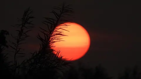 BBC Weather Watchers/Freedom_Photography Worcester