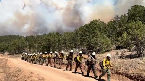 a line of firefighters walking along a dirt path in forest and smoke billows in background