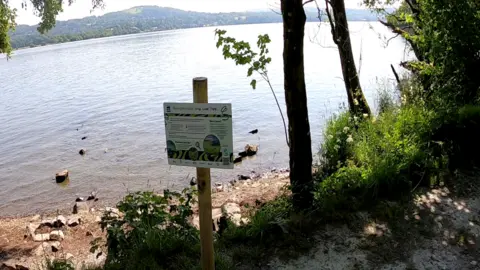 An algae warning sign attached to a wooden pole on the shore of Windermere. A large expanse of water can been seen behind the notice along with hills in the distance.
