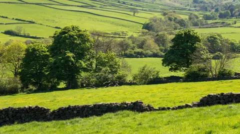A tree-covered hillside near Danby in North Yorkshire on a sunny day. There are more trees scattered across fields in the foreground.