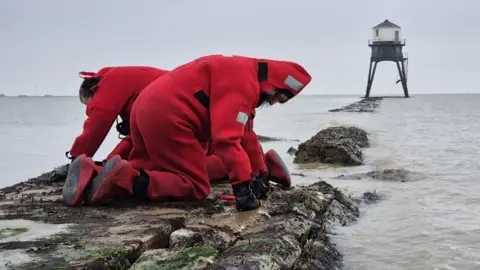 Two people in red protective suits, on their hands and knees, assessing the structural integrity of the causeway which connects the two Dovercourt lighthouses, one of which can be seen in the background. The causeway is covered in seaweed and is surrounded by the sea itself.