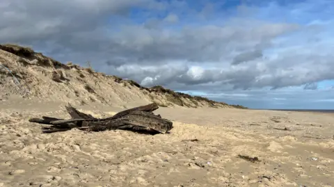 Shaun Whitmore/BBC The timbers of an old boat lying on an expanse of sand. There are low, sandy cliffs in the background. The sky is cloudy.