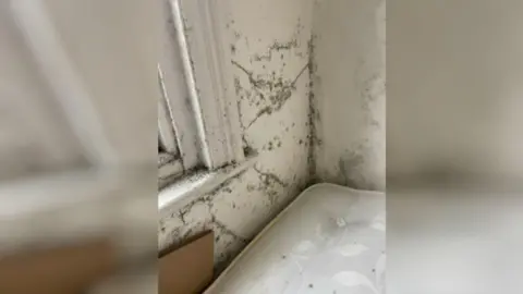 Shanaya Wood A mouldy wall. Spots of mould can also been seen on a mattress next to the wall.