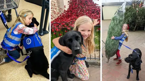Supplied Three images, all of the same black labrador, in his blue collar, lead and harness, in different locations with a blonde haired girl. Left, the two are hugging on the floor of a supermarket. The girl has her hair in bunches and is wearing a blue hi-vis vest, jeans and a checkered shirt. There is a trolley and a display stand in the background. Middle, The pair are crouched in front of a poppy display outside an old building. The girl is holding the black railings whilst hugging her dog. She is in a bright flowery dress. Right, the girl is carrying a Christmas tree covered in netting. The tree is almost taller than her. She is wearing a red bow, blue striped coat, red leggings and red furry boots. The dog's lead is connected to her coat and the dog. Behind her, other Christmas trees are lined up on a patioed area.
