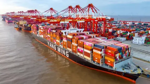 A vast container ship being loaded at a port in Shanghai 