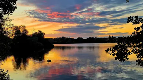 Alfie Cole/BBC Weather Watchers The view across a lake which has a reflection of the sunset across it which is orange, yellow, blue and pink. There is a bird swimming across the water, and branches and trees go around the perimeters of the lake.