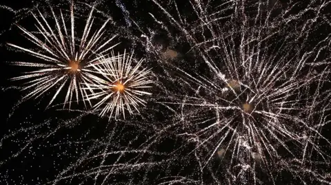 Exploding fireworks fill the night sky