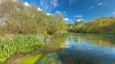 The River Itchen with a reflective shine on a sunny day. The trees flanking the river are brown with green leaves and some green moss can be seen in the foreground of the image.