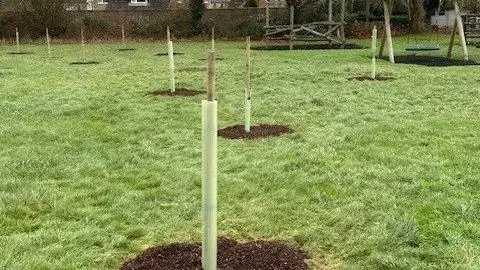 newly planted young saplings stand in green plastic support tubes near a children's playground  with fresh compost at their bases 