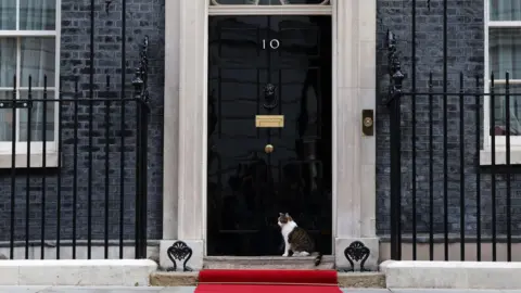 Larry the cat sits outside 10 Downing Street